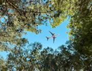 airplane over trees