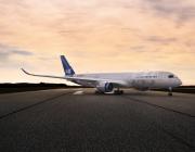 Scandinavian airlines jet