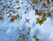 airplane over trees