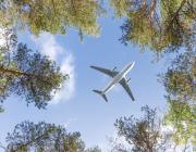 airplane over trees