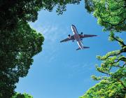 aircraft above trees