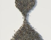 aerial view of people walking