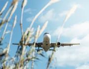 airplane sustainability