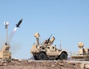 Raytheon Coyote on LIDS 