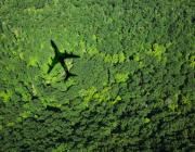 airplane flying over trees