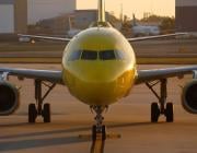 Spirit Airlines Tampa April 2025