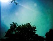 airplane flying above a forest