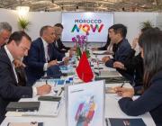 Moroccan delegation in Paris