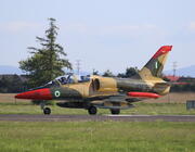 Aero L-39ZA NAF 366 