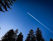 plane flying above trees