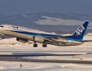 ANA aircraft
