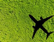 shadow of an airplane over a green field