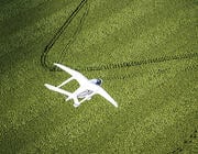 Beta Alia flying over field