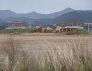 Muan International Airport