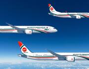 Biman fleet