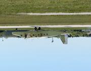 do228 NXT flight 