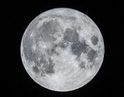 The moon