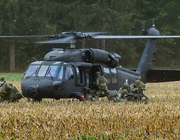 austrian black hawk