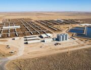 Circularity Fuels