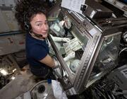 NASA astronaut Jessica Meir prepares samples in the Life Sciences Glovebox to study how weightlessness affects crew blood clotting and immune function for the Megakaryocyte Flying-One investigation. NASA