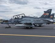 raaf trainer