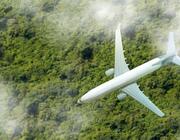 plane over jungle