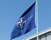 nato flag