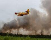 wildfires