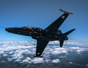 picture of hawk trainer flying