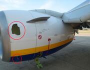 Malt Air engine damage