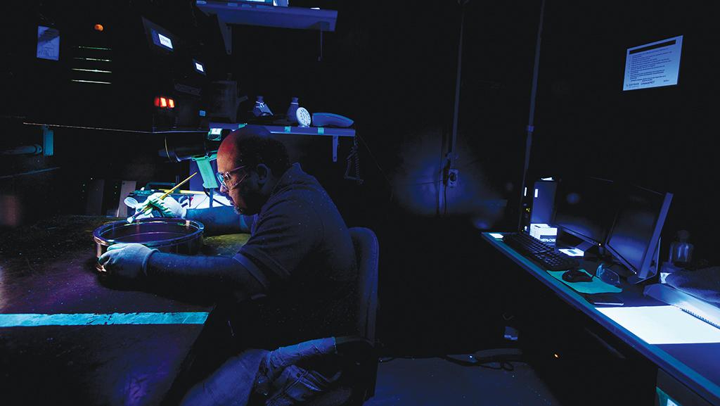 man in a laboratory