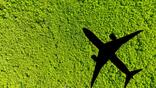 shadow of an airplane over a green field
