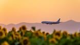 generic aircraft inflight with a sunflower field on the ground