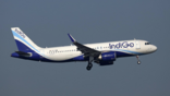 indigo a320neo